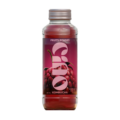 Pack de 6 Ciao Kombucha™
