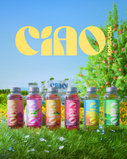 Pack de 6 Ciao Kombucha™
